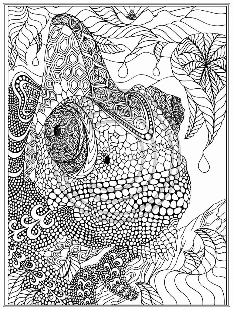 Animal Coloring Pages For Adults Printable At GetColorings Free 