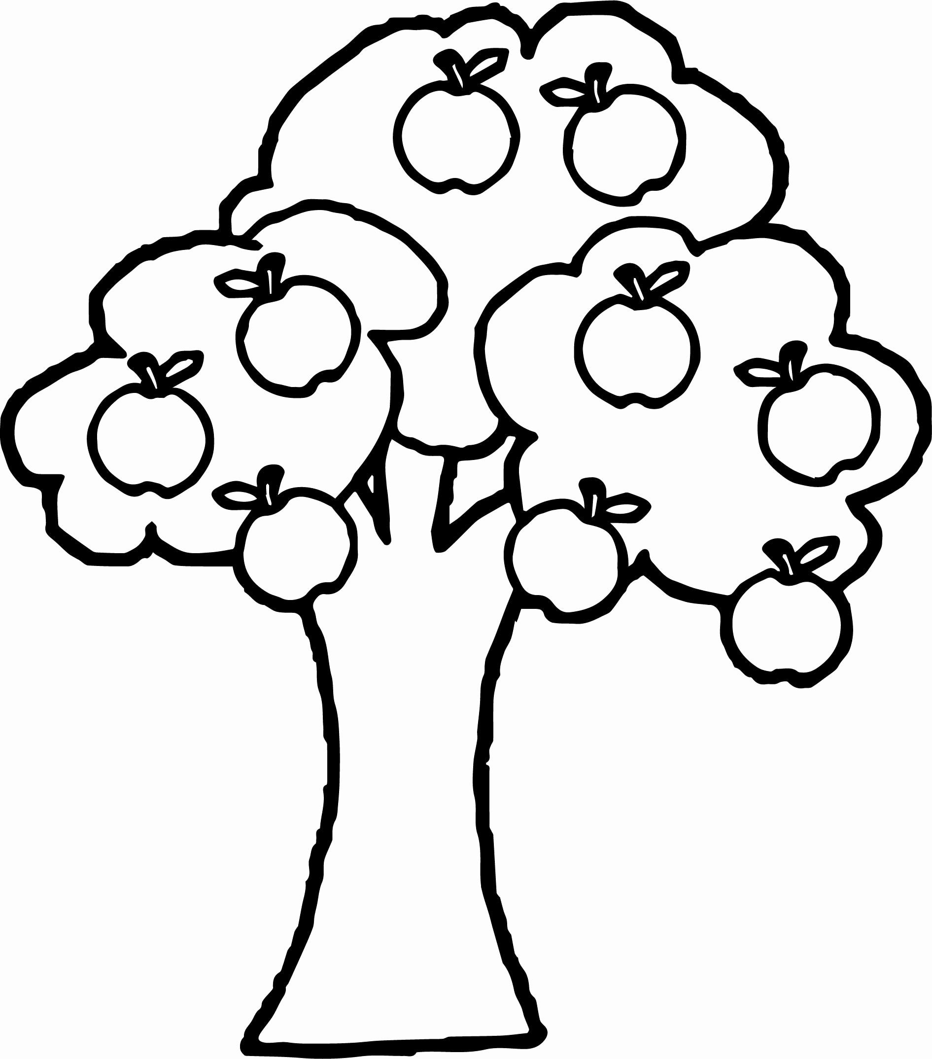 Apple Tree Printable Coloring Pages Printable Sight Words List