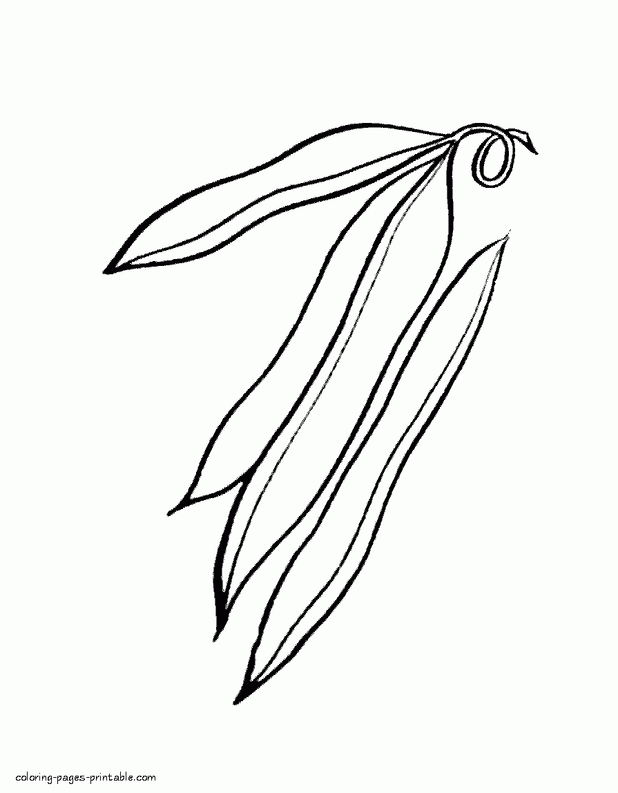 Beans Coloring Sheets For Preschoolers COLORING PAGES PRINTABLE COM