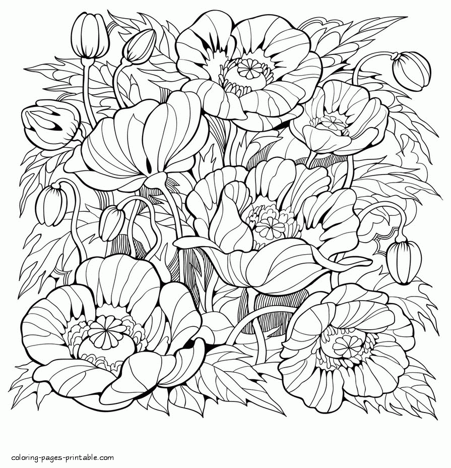 Beautiful Coloring Pages For Adults Flowers COLORING PAGES