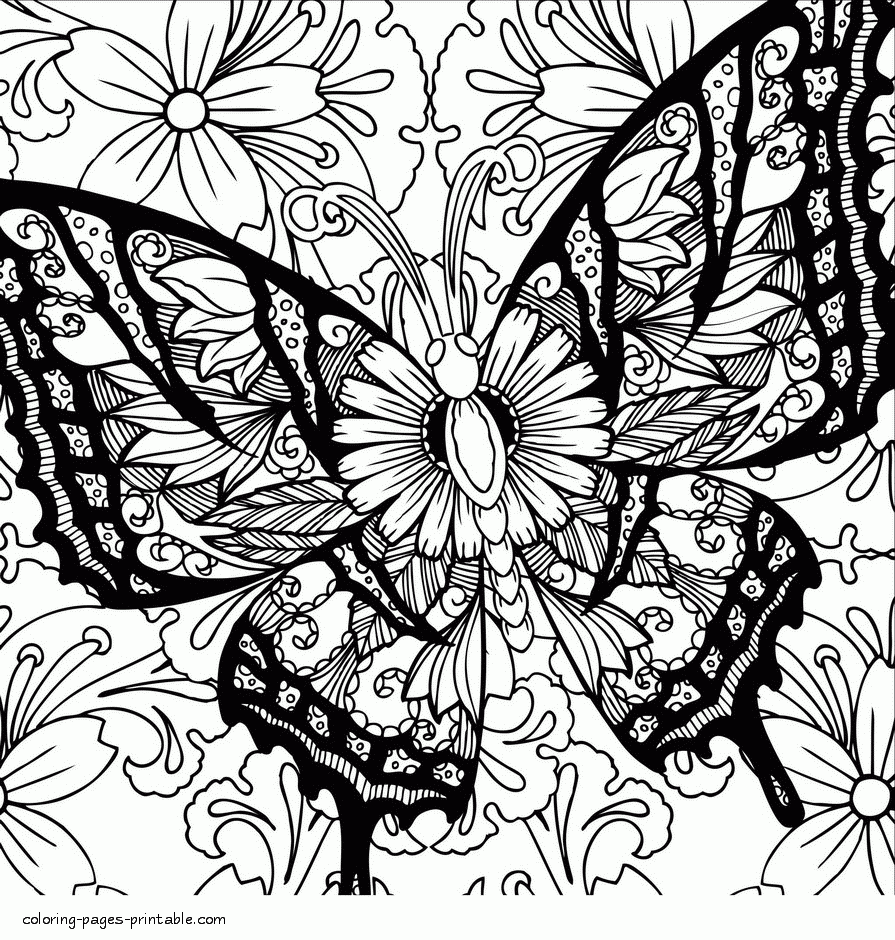 Butterfly Coloring Books For Adults COLORING PAGES PRINTABLE COM