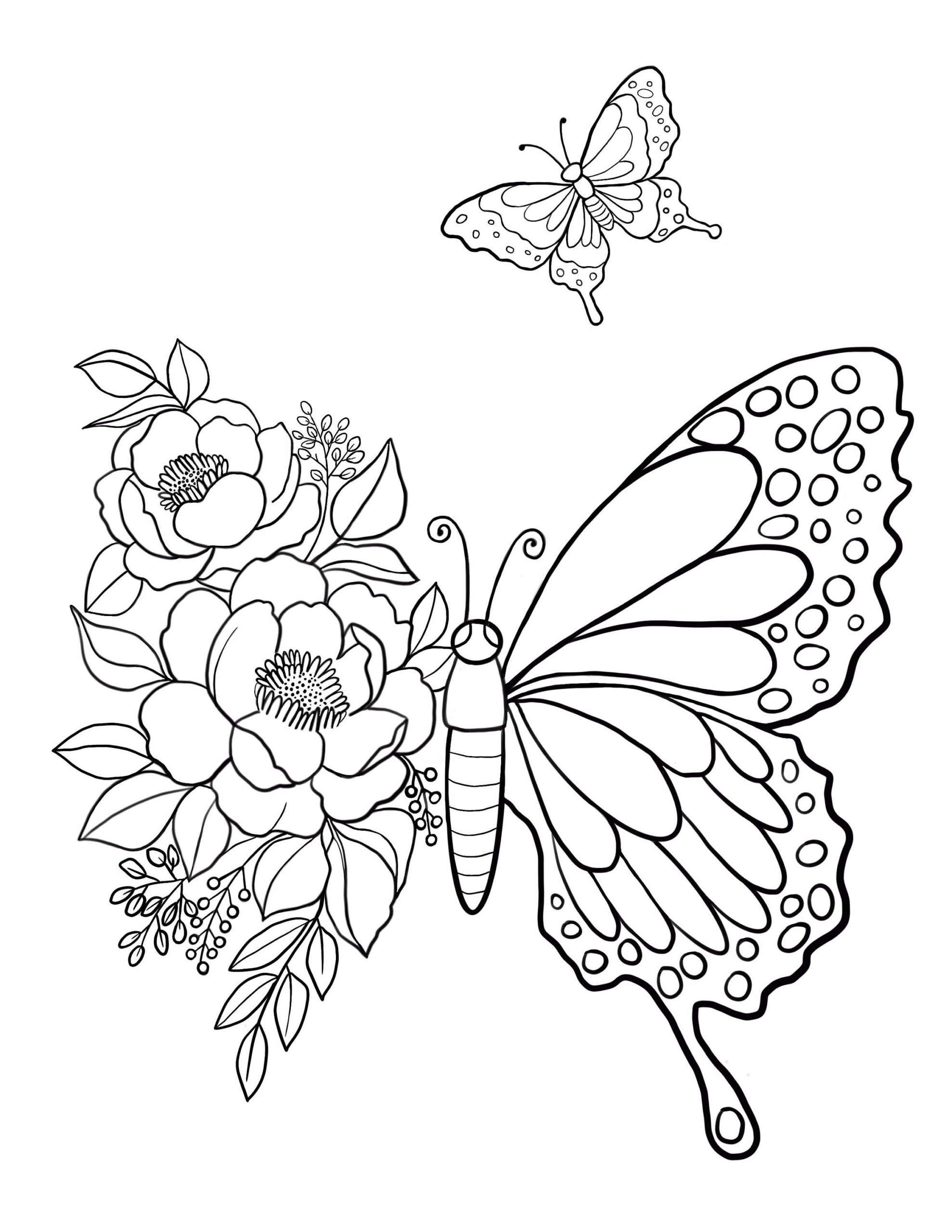 Butterfly Printable Coloring Sheet Coloring Pages Kid Vrogue co