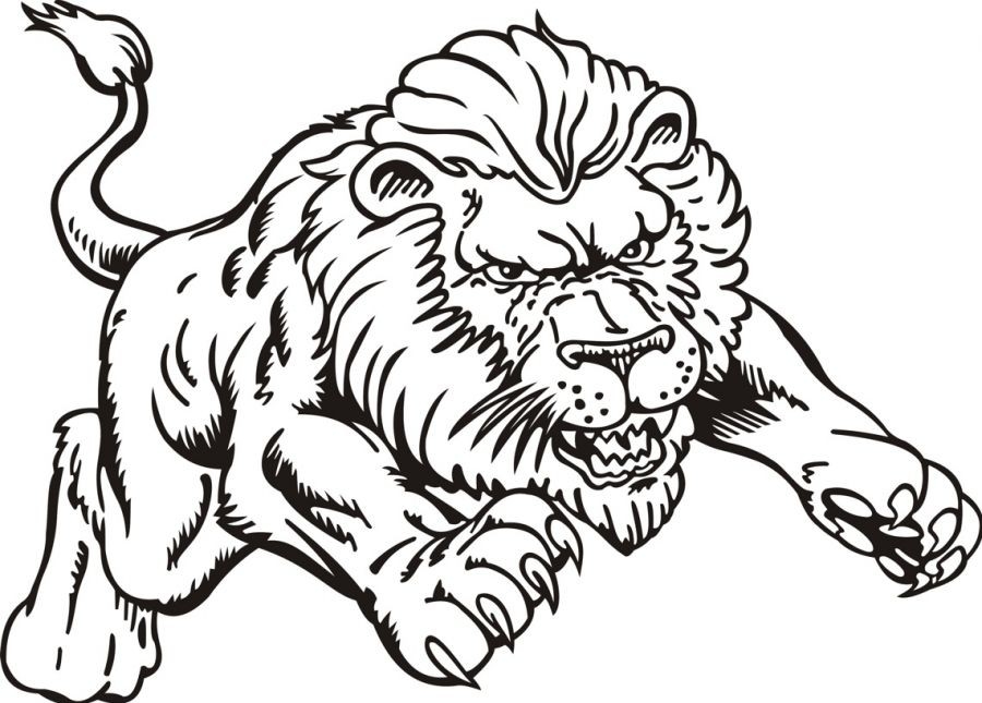 Cool Lion Coloring Pages PDF Ideas Coloringfolder