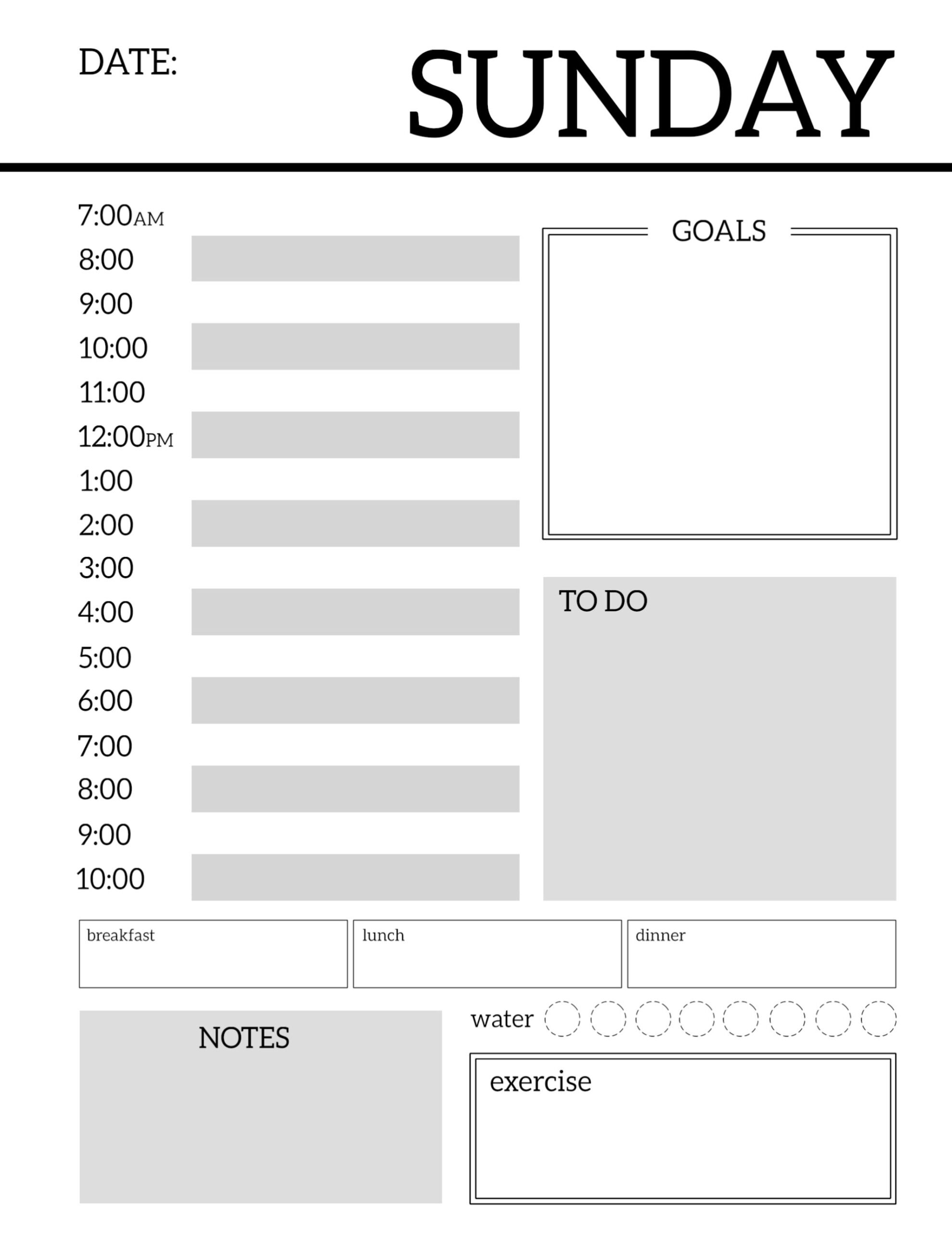 Daily Planner Printable Template Sheets Paper Trail Design