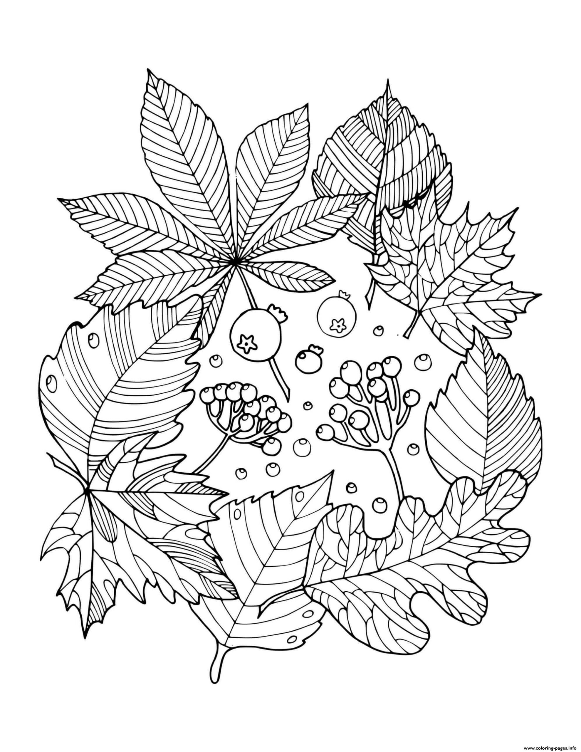 Fall Autumn Leaf Arrangement Coloring Page Printable