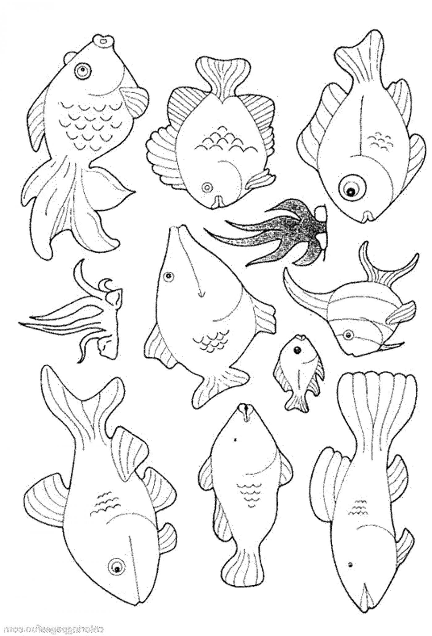 Fish Coloring Pages Free Printable Web Free Printable Fish Coloring 