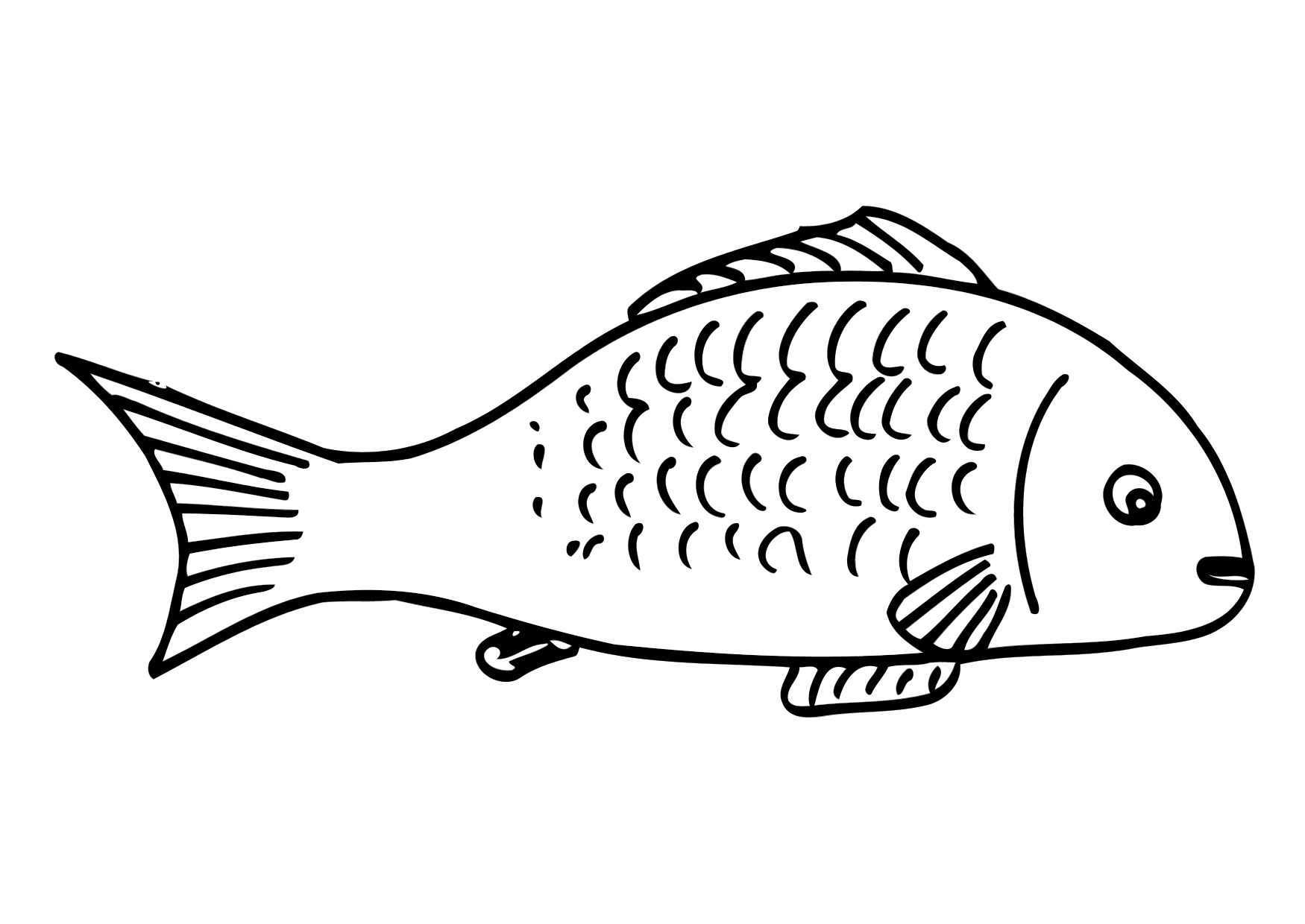 Fish Printable Coloring Pages