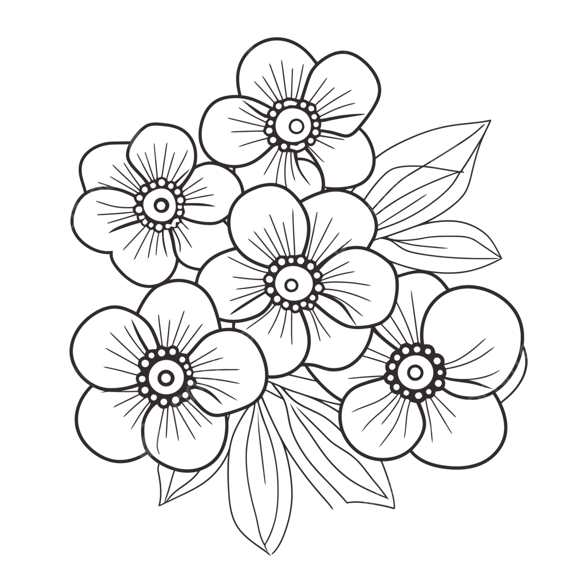 Flower Coloring Pages Printable Best Flower Colouring Outline Sketch 