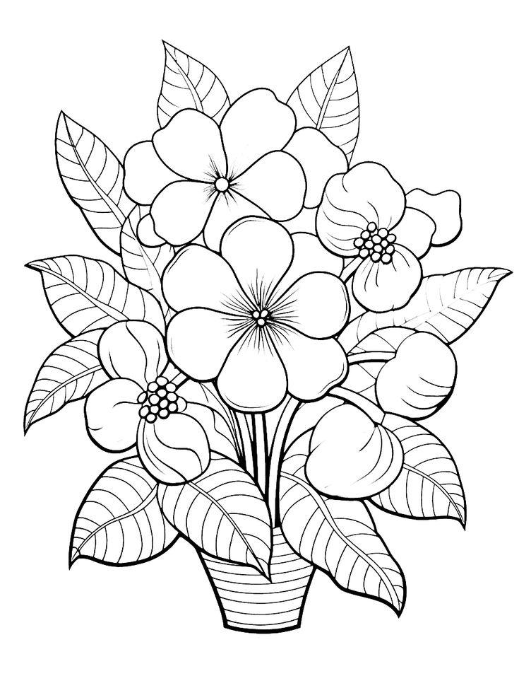 Flower Colouring Sheets Printable Printable Calendars AT A GLANCE
