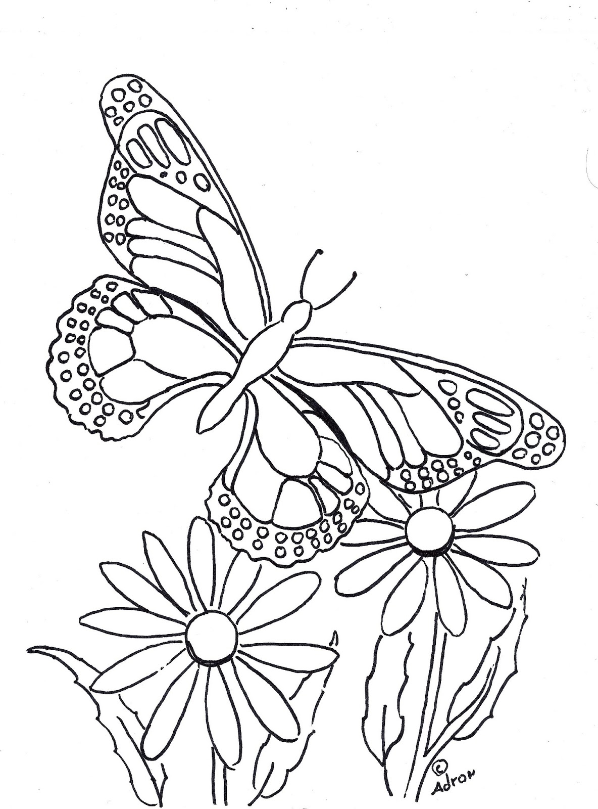 Free Coloring Pages Butterfly Butterfly Coloring Page Vrogue co