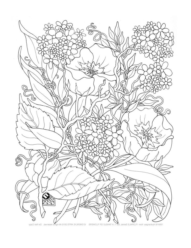 Free Free Printable Coloring Pages Adults Only Download Free Free 