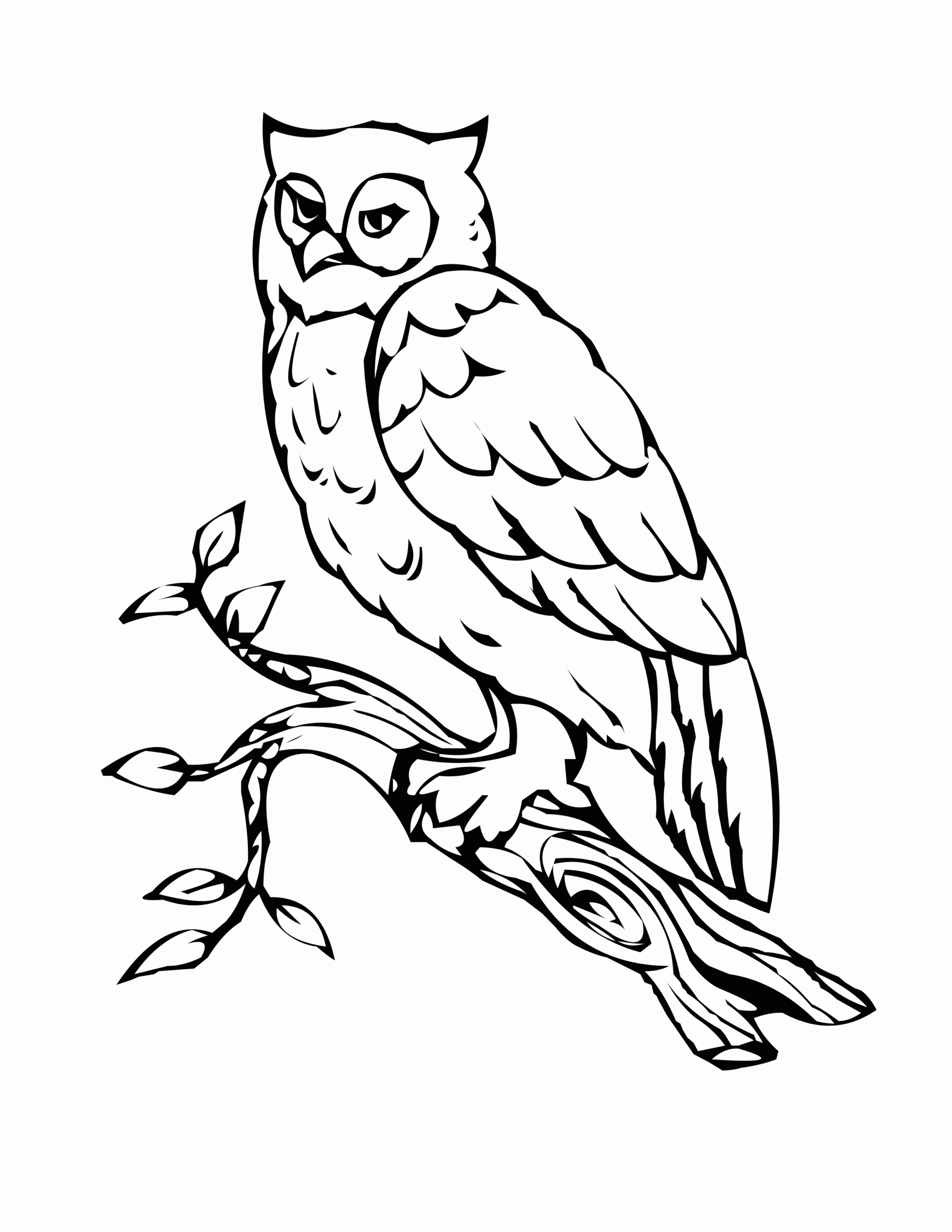 Free Owl Preschool Coloring Pages Coloring Home