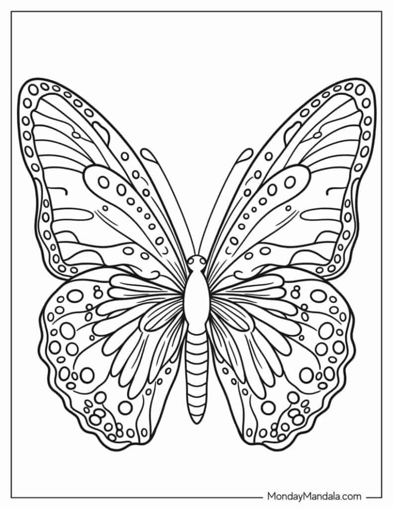Free Printable Butterfly Coloring Pages FREE Printables