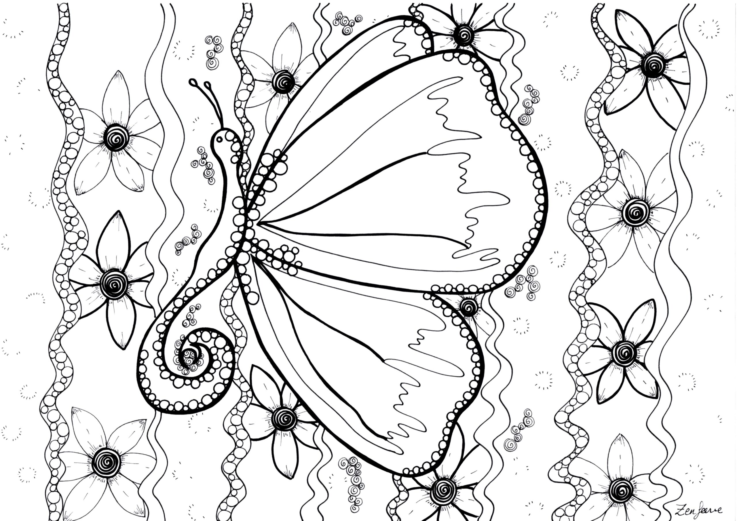 Free Printable Butterfly Colouring Sheets Free Coloring Sheet