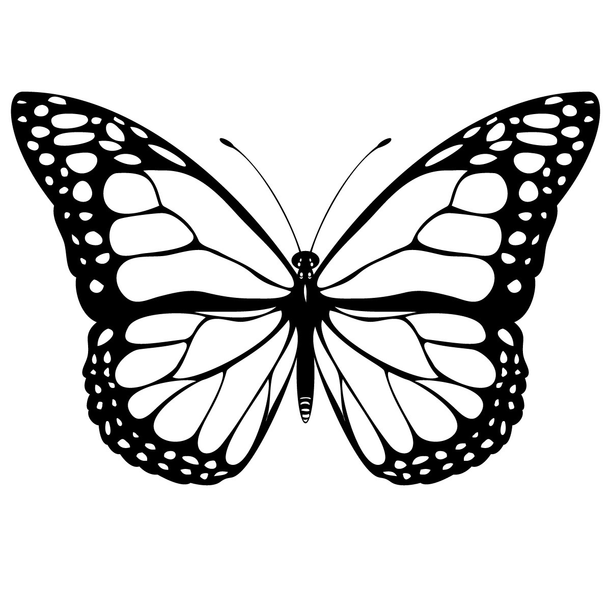 Free Printable Coloring Pages Butterfly 2015 Lunawsome