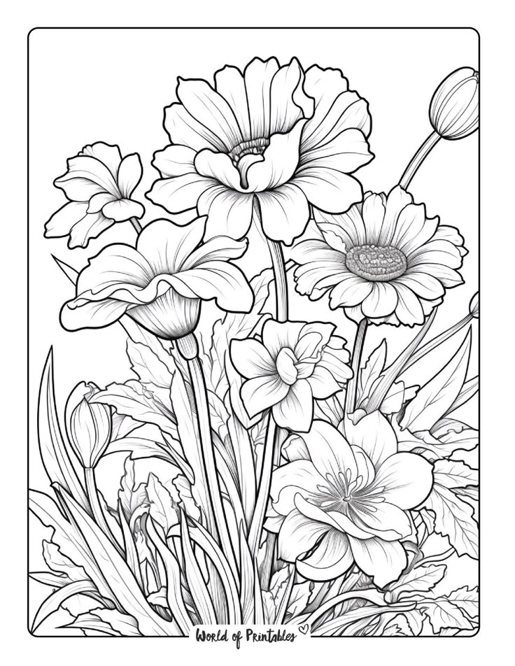 Free Printable Flower Coloring Sheets