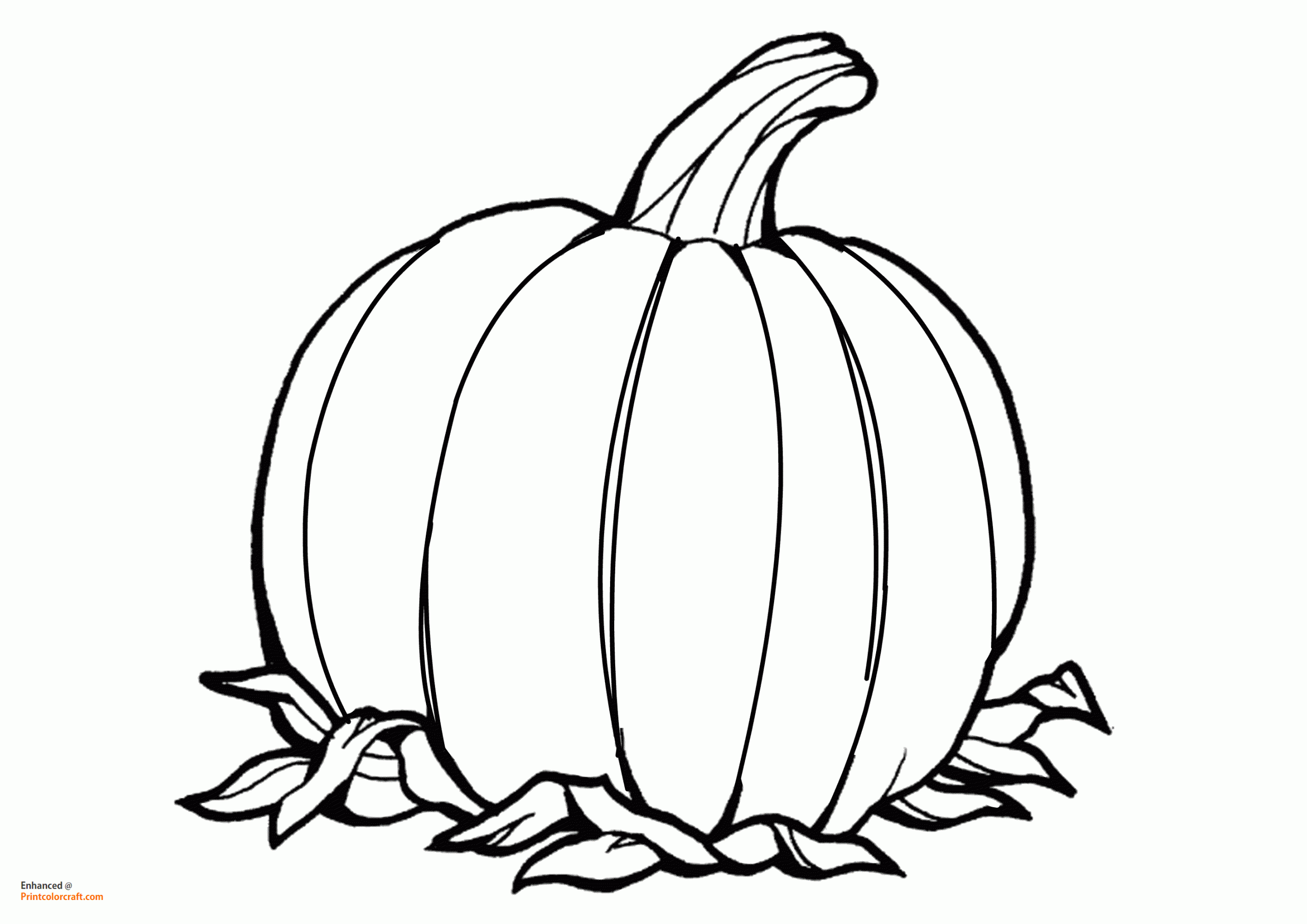 Free Printable Pumpkin Color Sheets