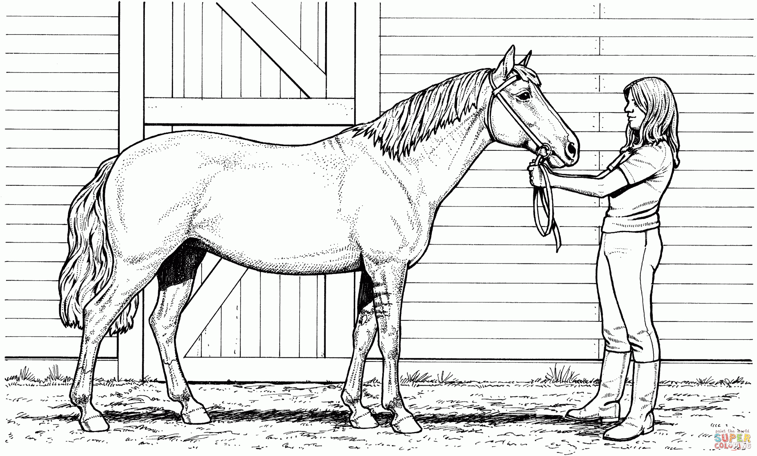 Horse Coloring Sheets For Kids