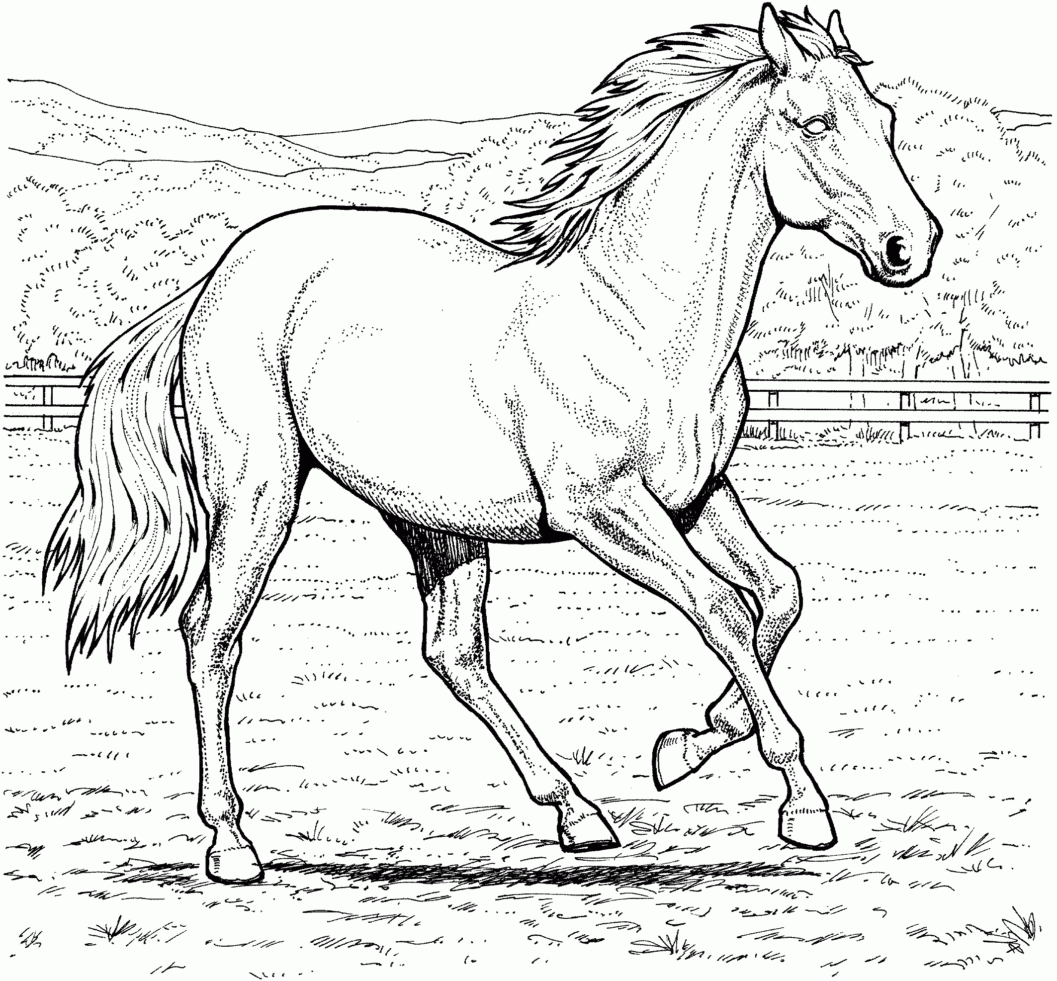 Horse Printable Coloring
