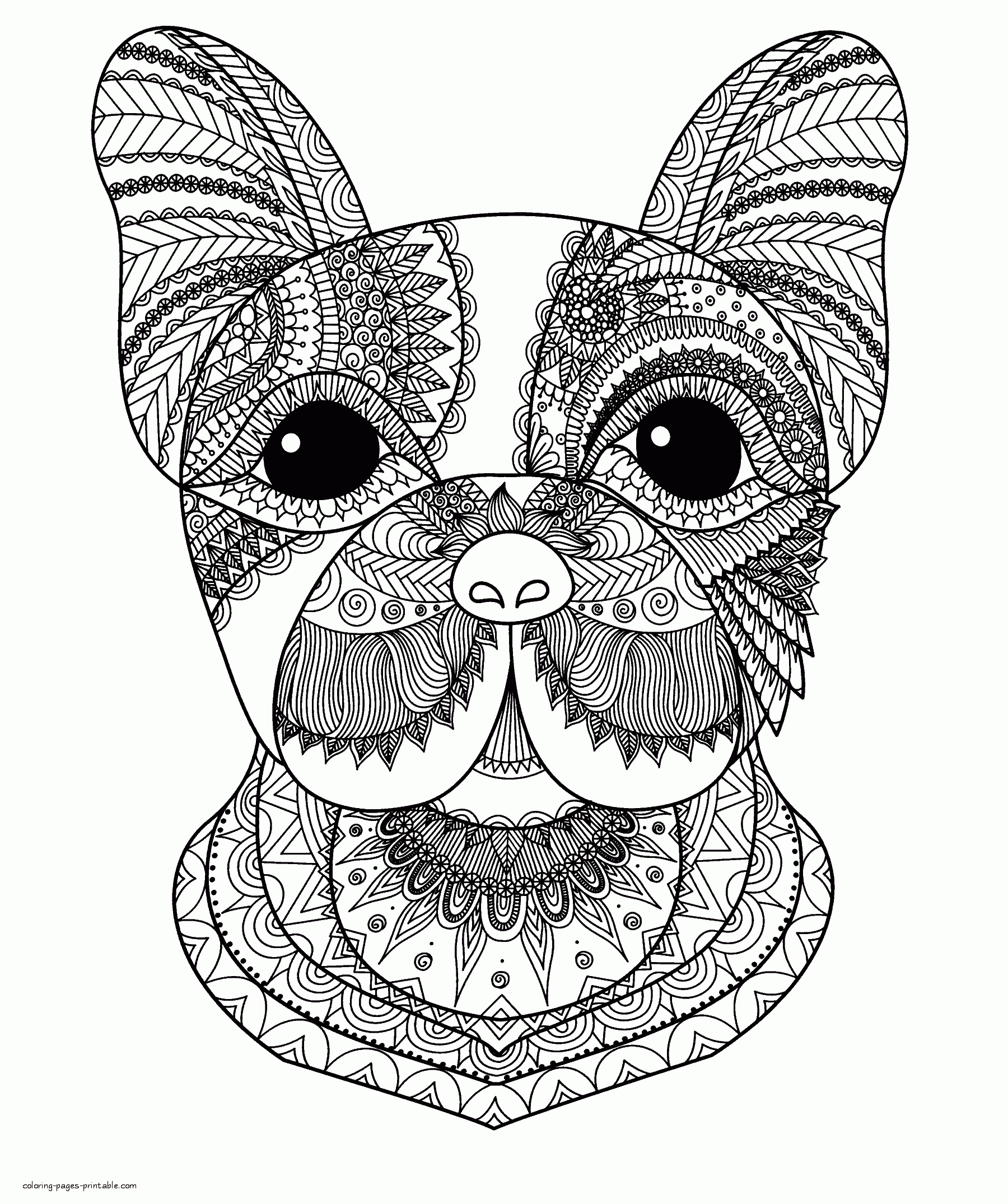Intricate Animal Coloring Pages COLORING PAGES PRINTABLE COM