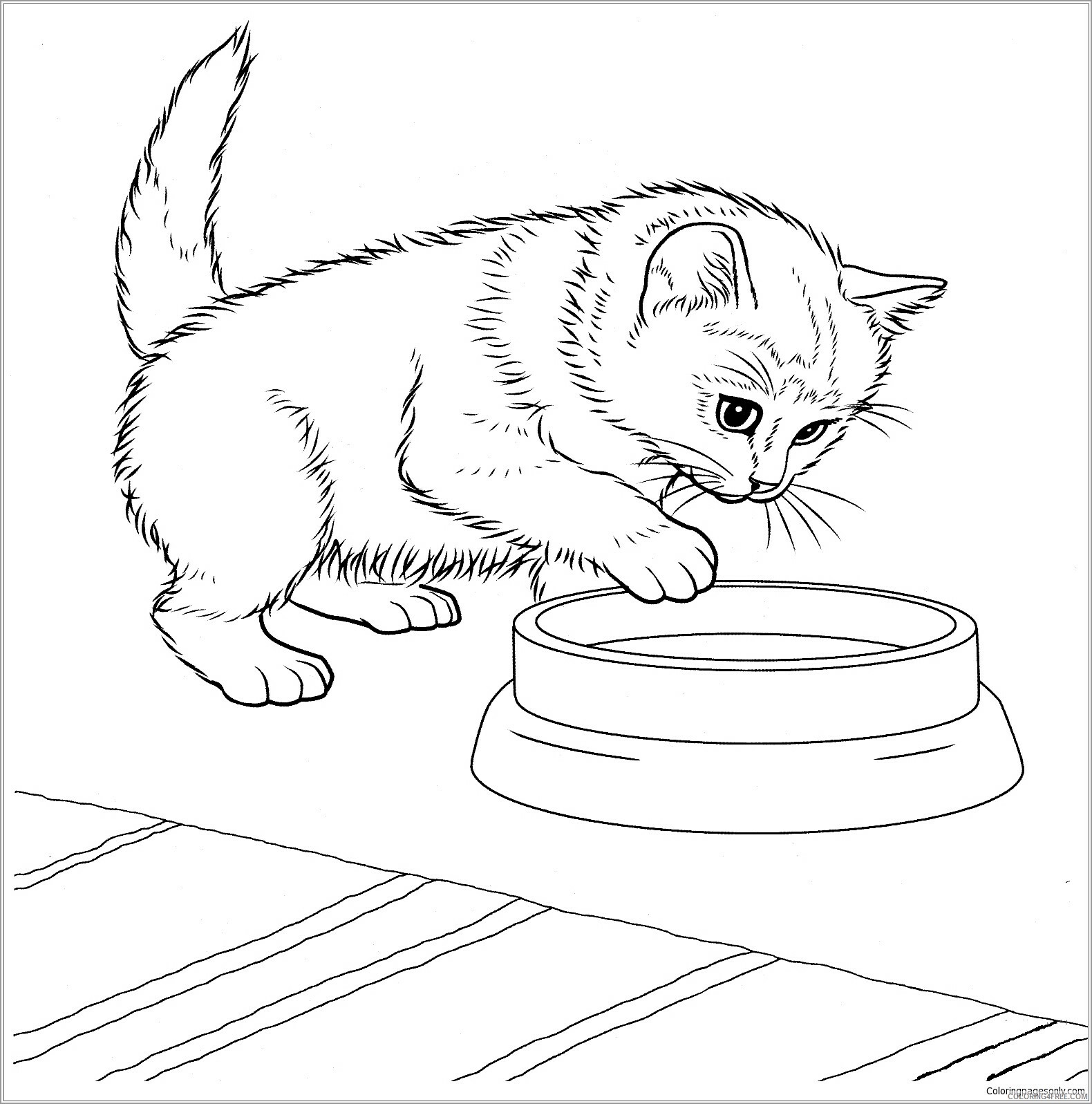 Kitten Coloring Pages Animal Printable Sheets Baby Kitten 2021 2964 