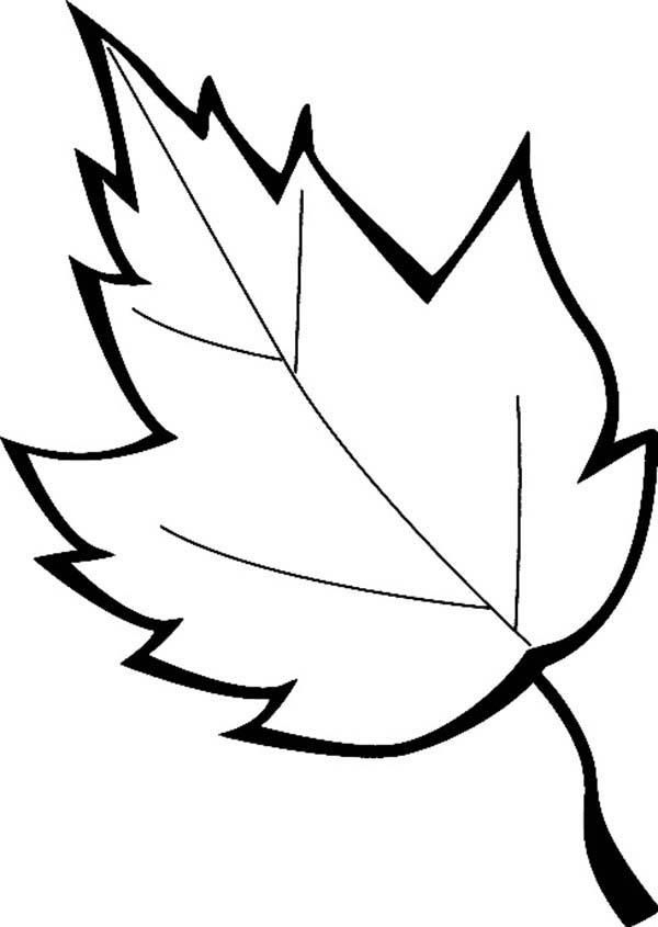 Leaves Printable Coloring Pages