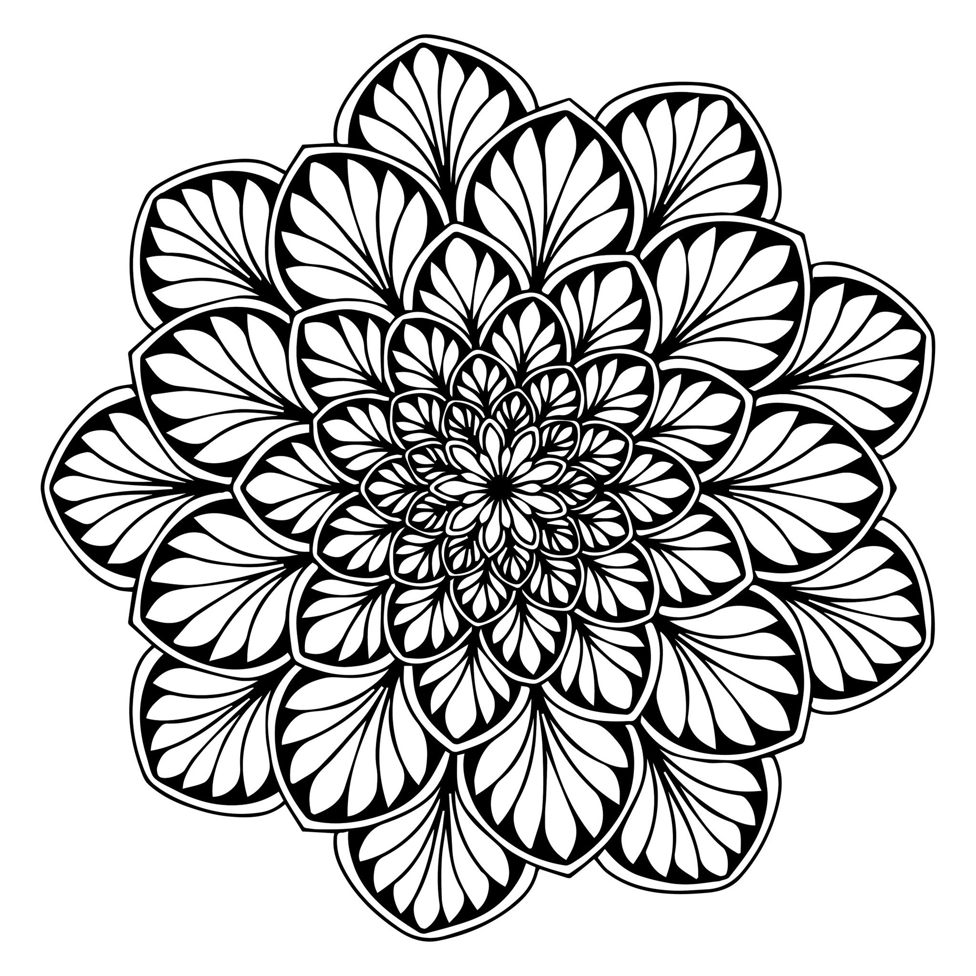 Mandala Full Of Beautiful Leaves Mandalas With Flowers Vegetation