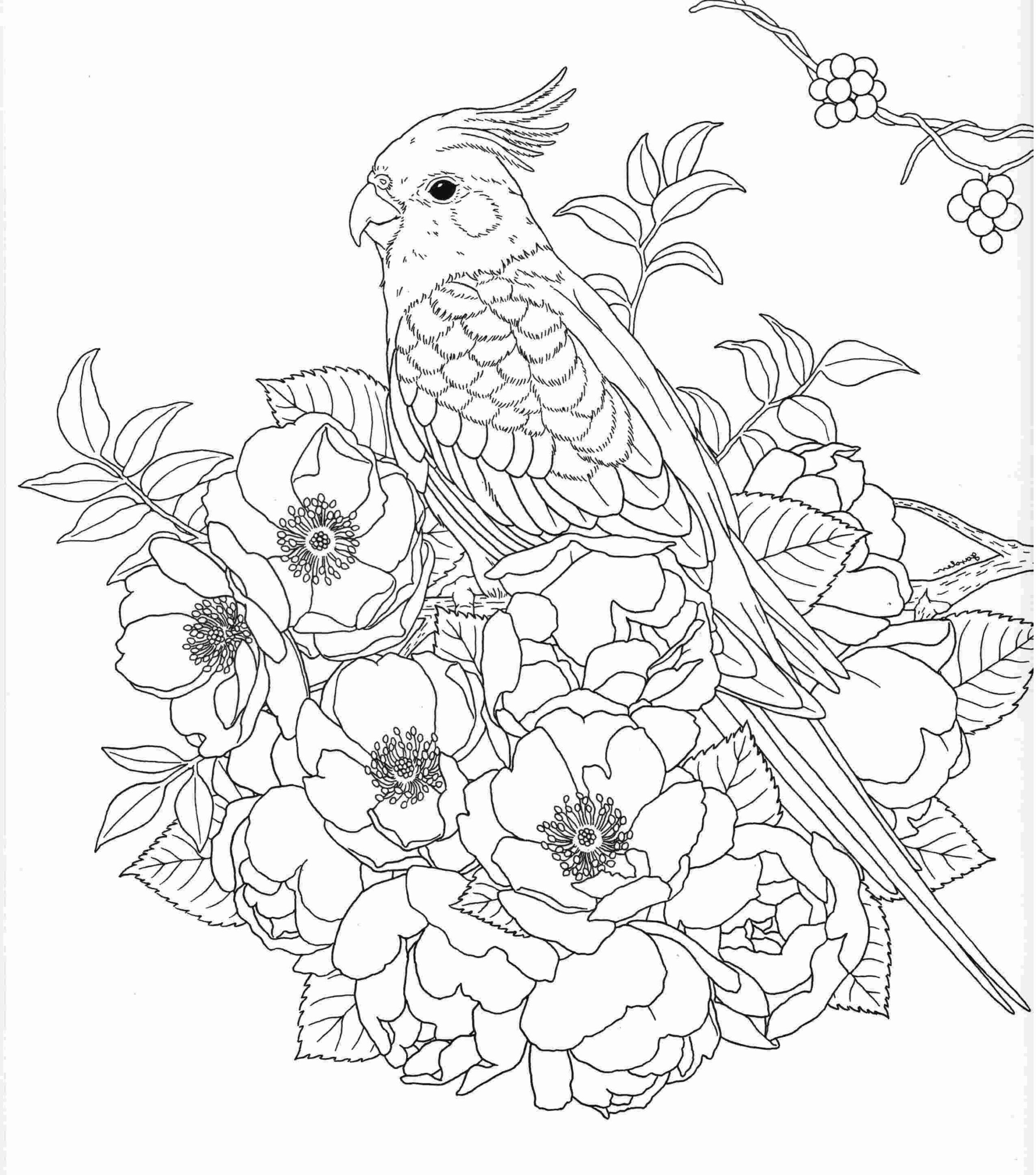 Nature Coloring Sheets Printable Printable Calendars AT A GLANCE