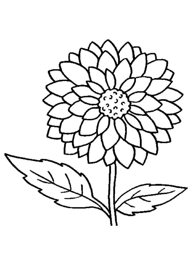 Neat Printable Flower Coloring Sheets Farm Animal Stencils