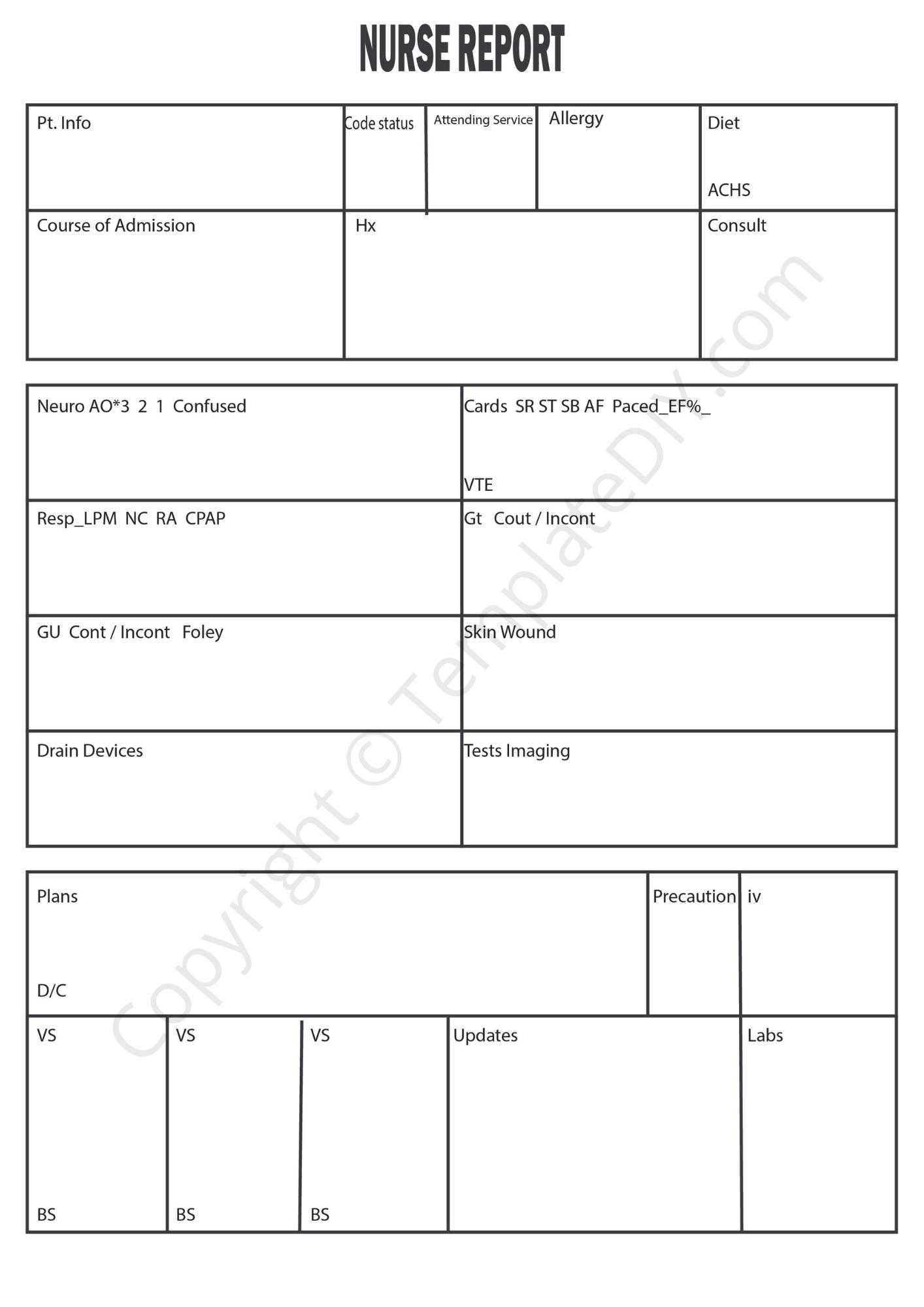 Nurse Report Template Blank Printable PDF Excel Word Regarding 