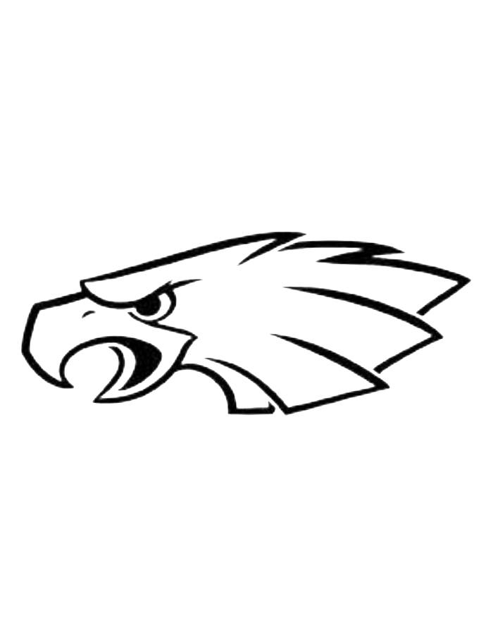 Philadelphia Eagles Coloring Pages Free Printable PDF 