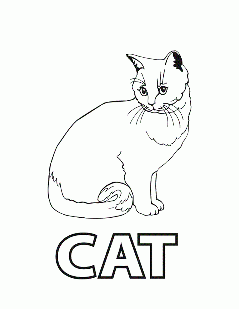 Printable Cat Coloring Sheets