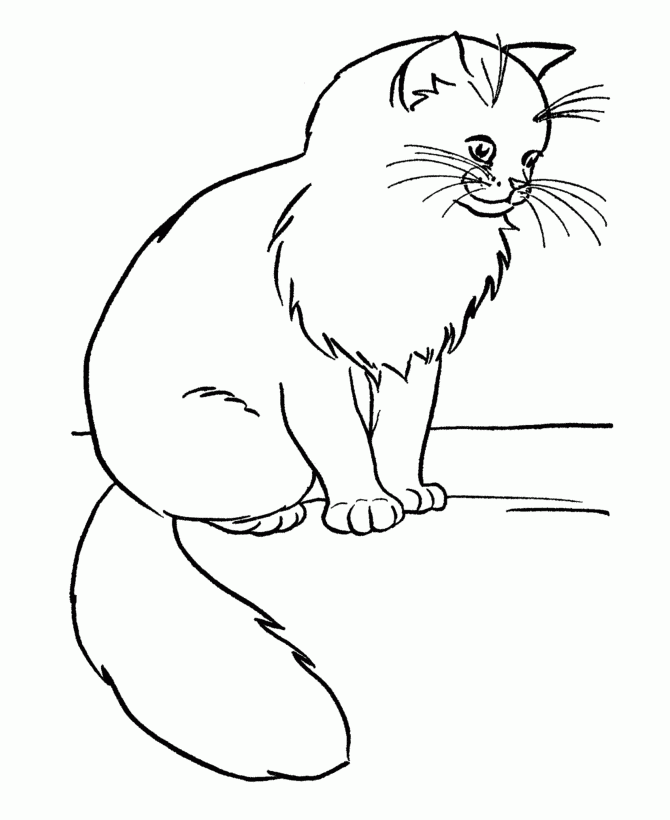 Printable Cat Coloring Sheets