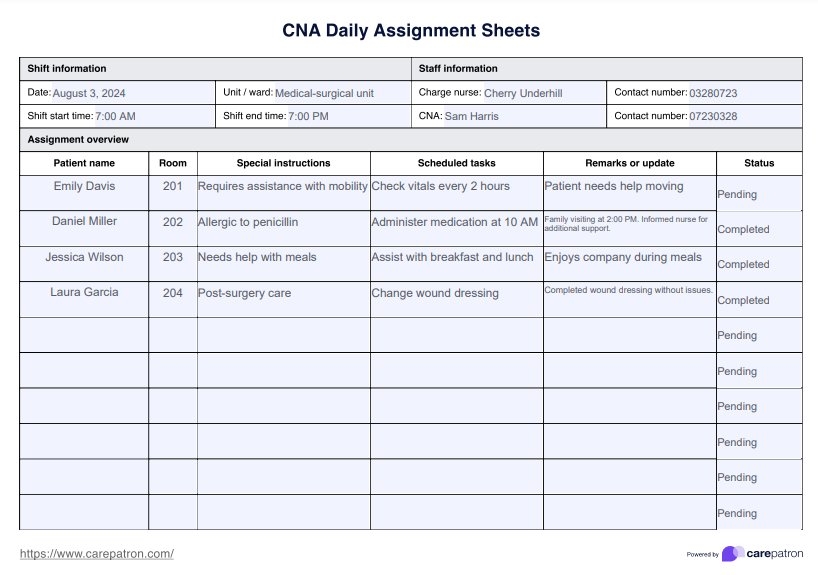 Printable CNA Daily Assignment Sheet Example Free PDF Download