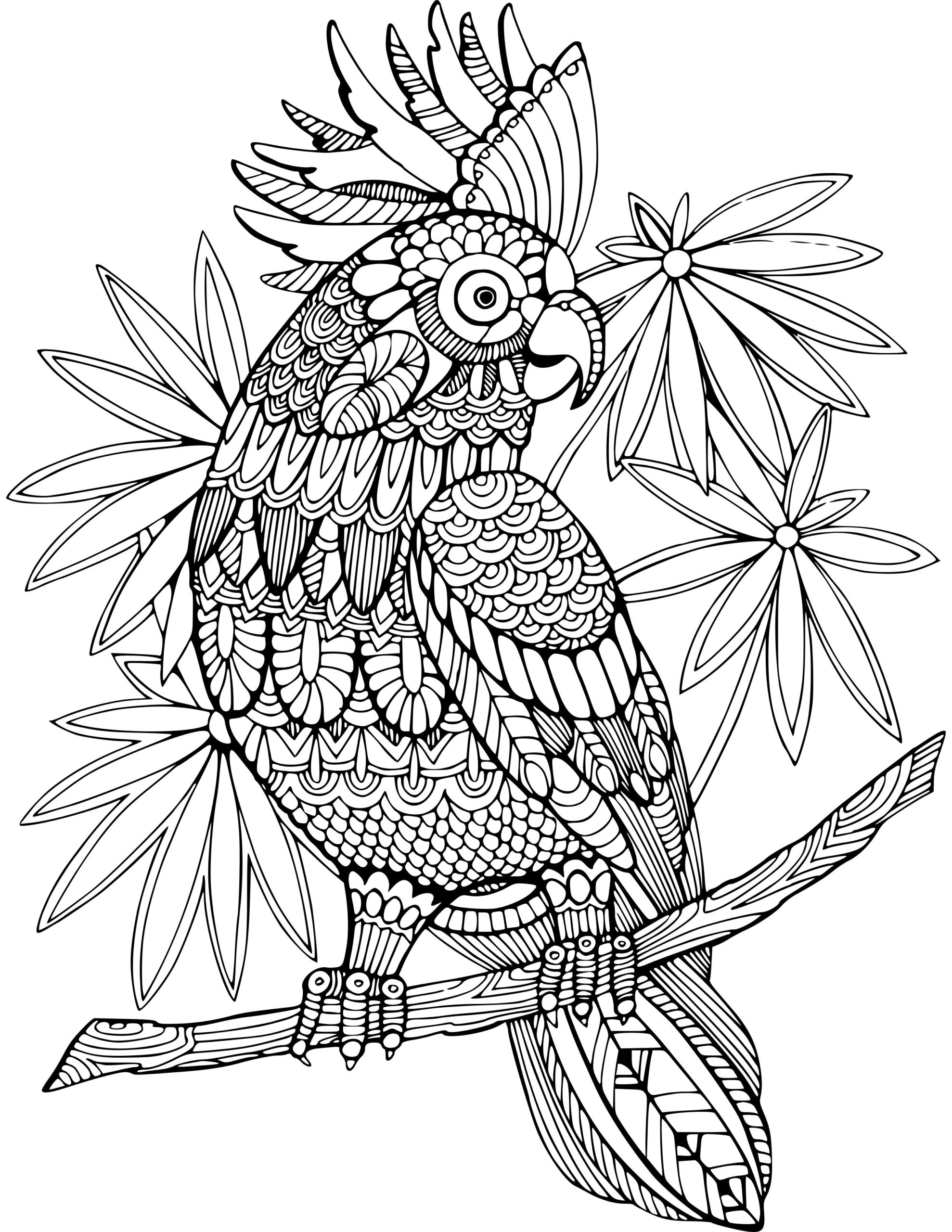 Printable Coloring Animals