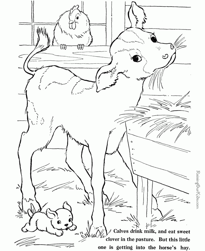 Printable Farm Animal Coloring Sheets 028
