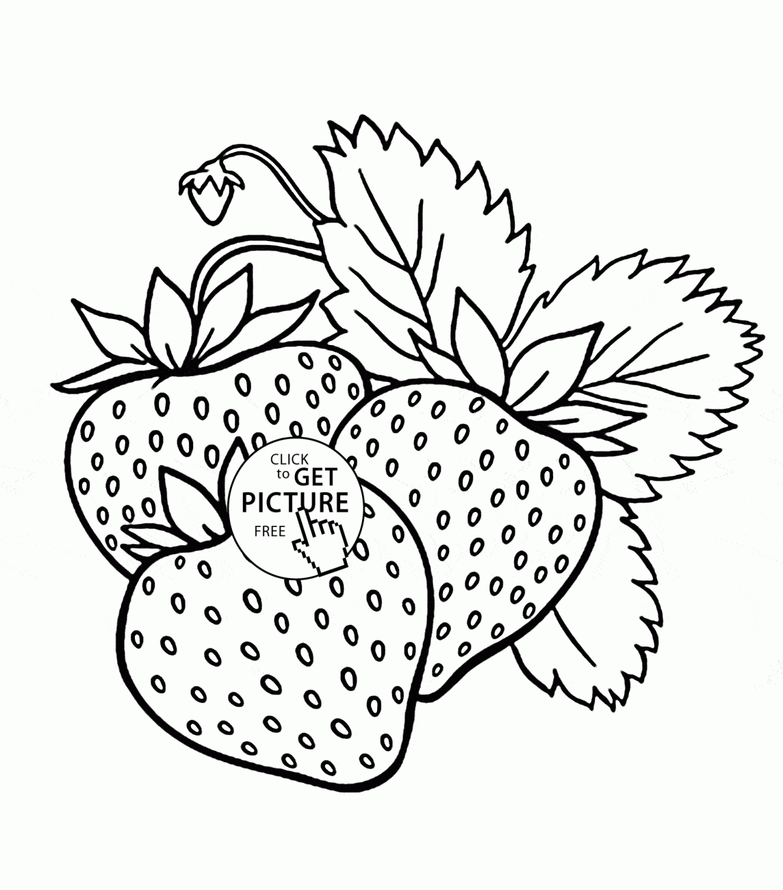 Printable Fruit Coloring Pages