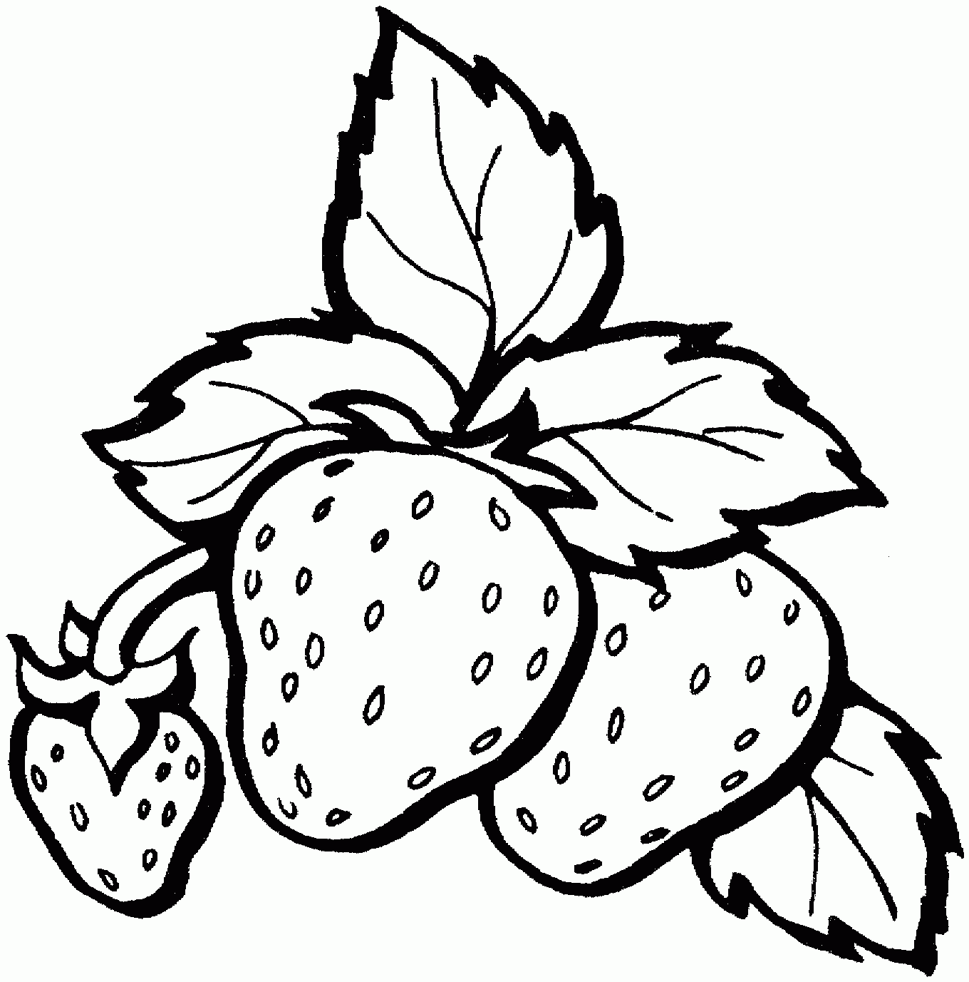 Printable Fruit Coloring Pages