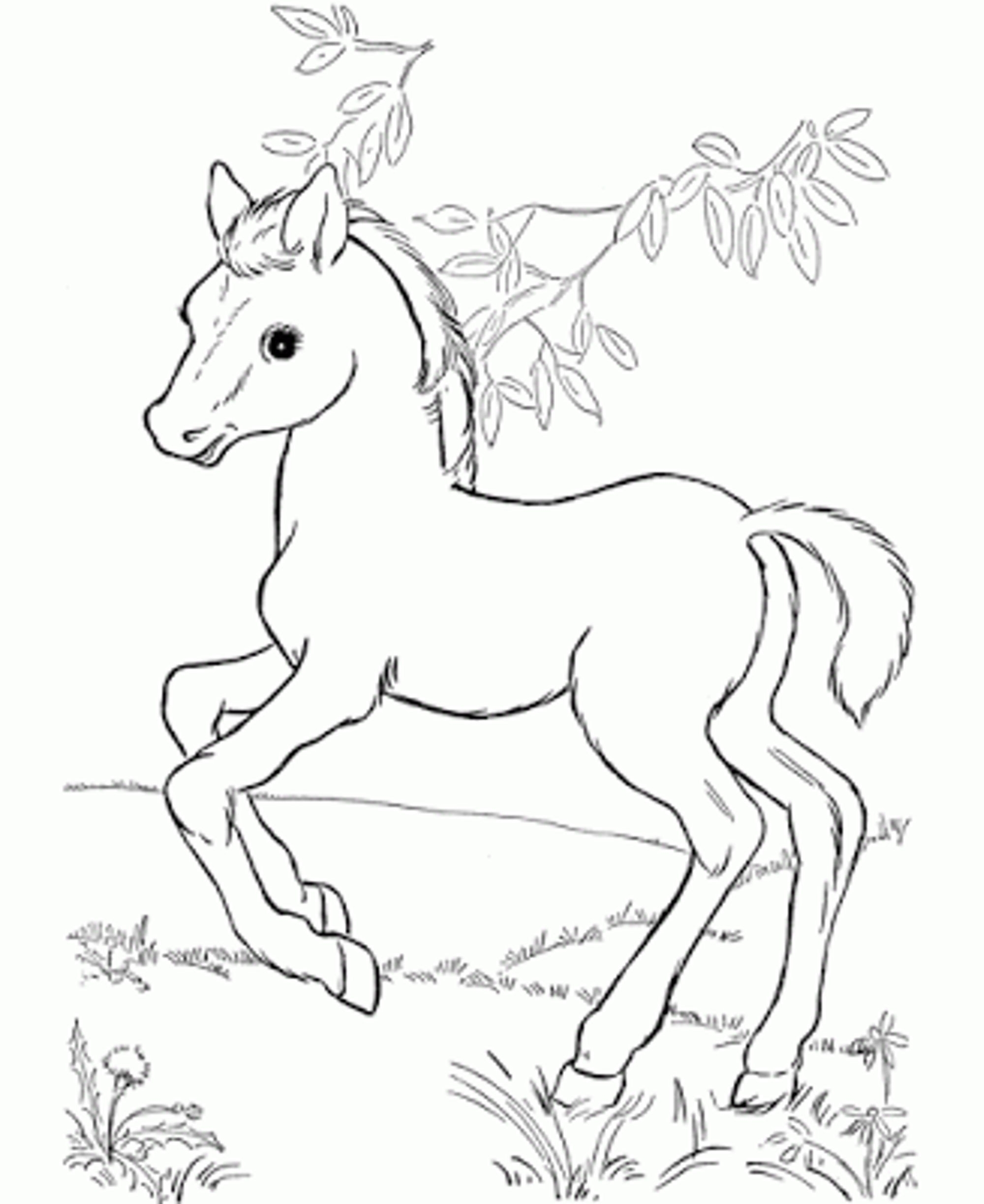 Printable Horse Coloring Sheets