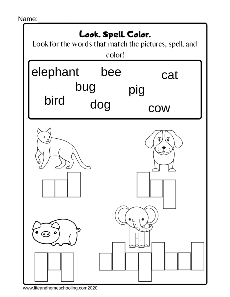 Printable Spelling Worksheets Grade 4 Printable Worksheets