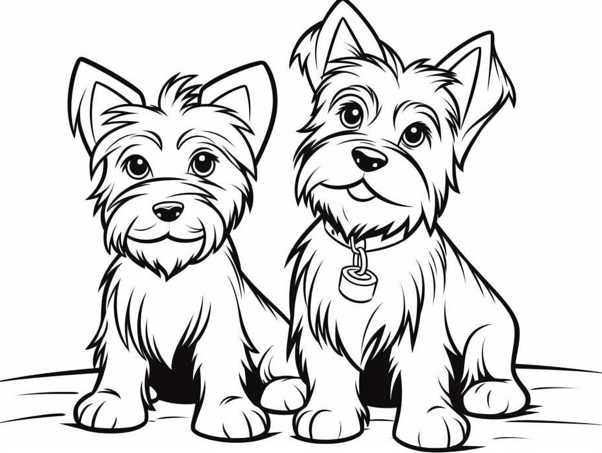 Printable Yorkie Coloring Sheet Coloring Page