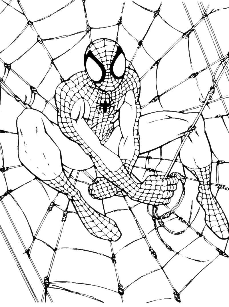 Spiderman Printable Coloring Sheets