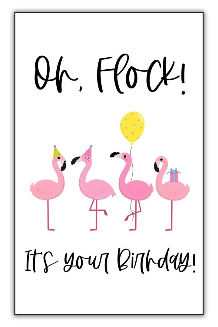 Three Pink Flamingos Are Standing In Front Of A White Background With 