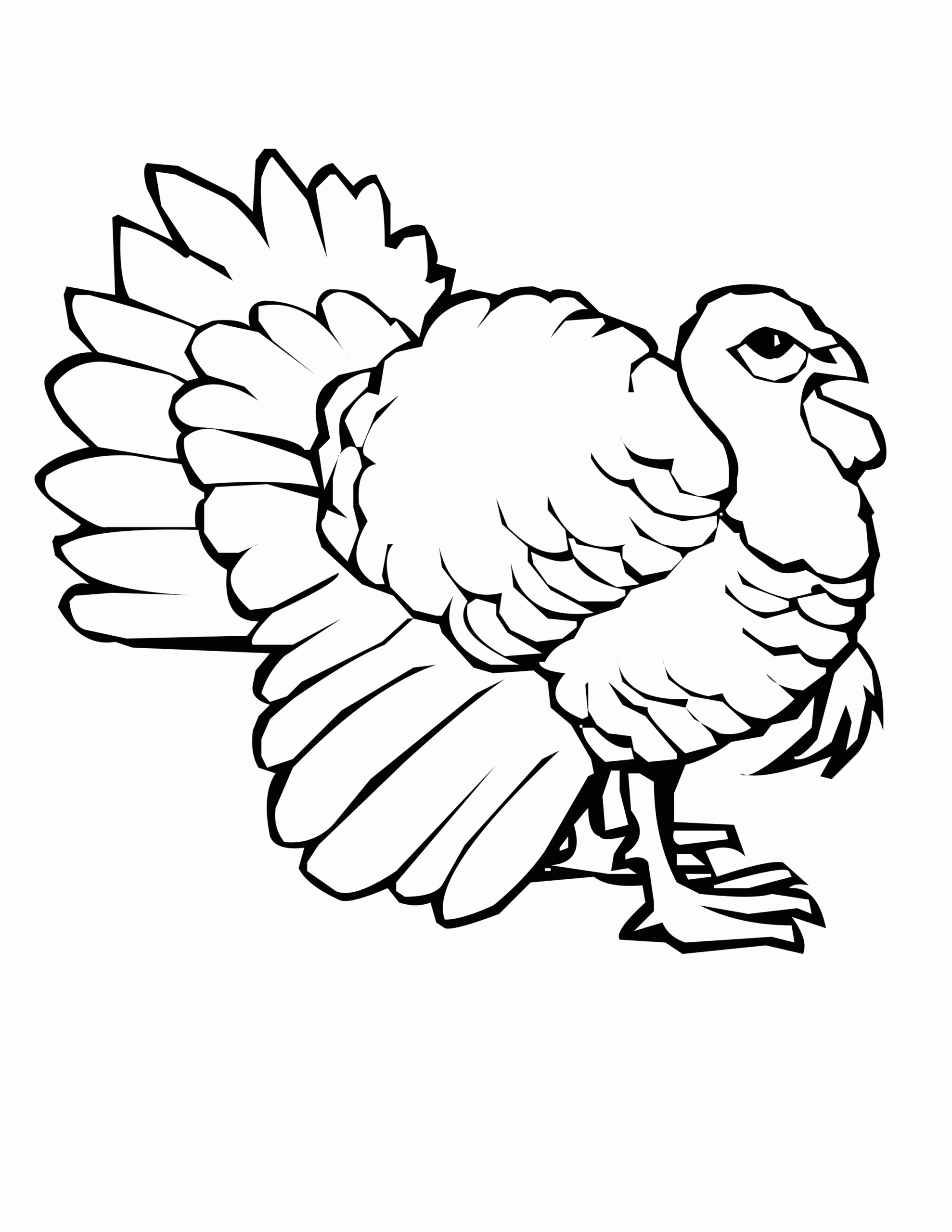 Wild Turkey Coloring Page Coloring Home
